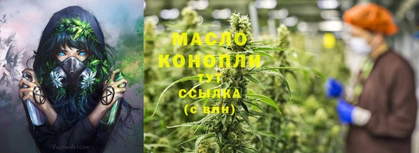 молекула духа Саяногорск
